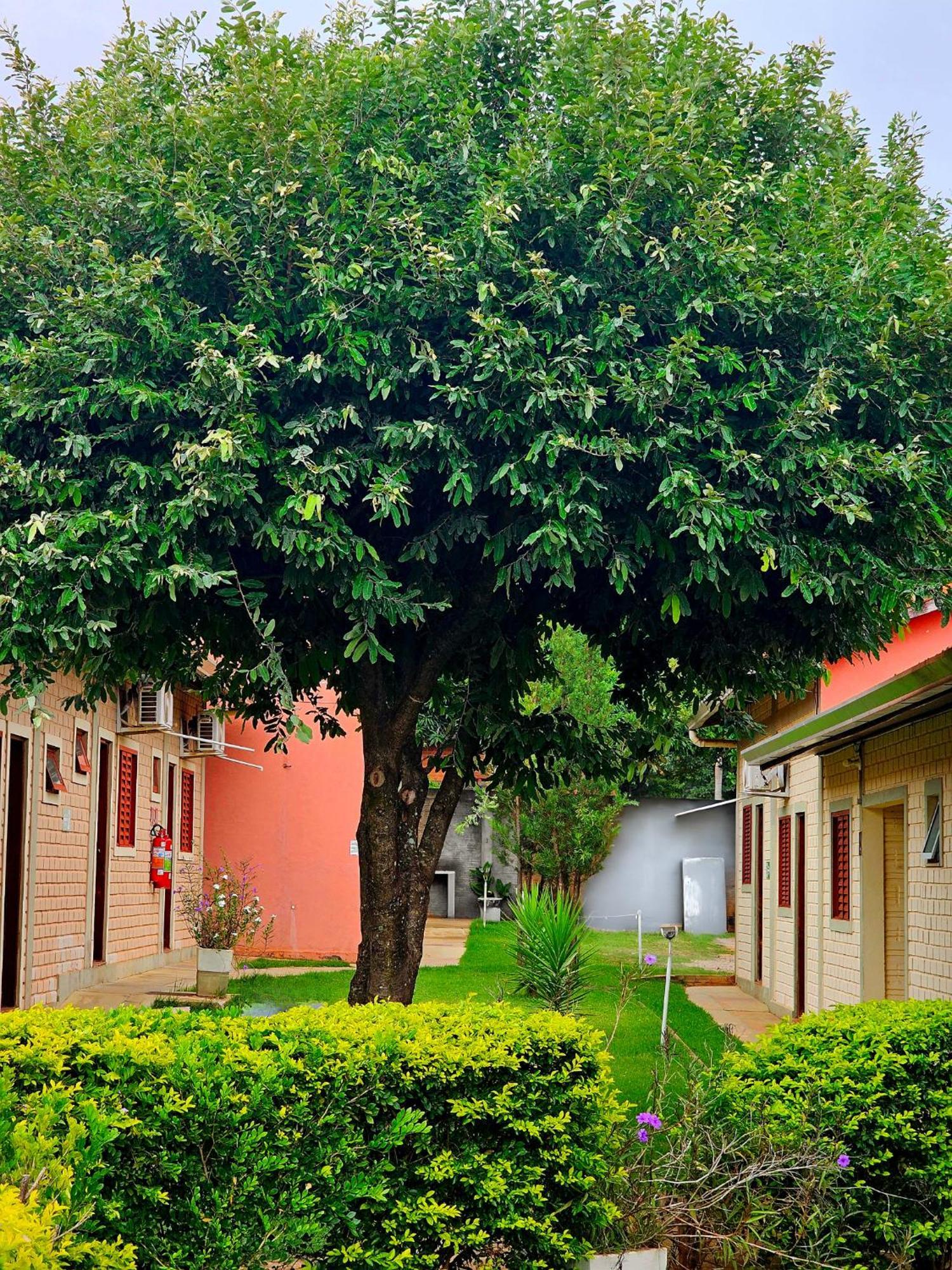 Bonito Hi Hostel E Pousada ภายนอก รูปภาพ